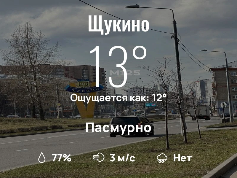 Что с погодой в Щукино?