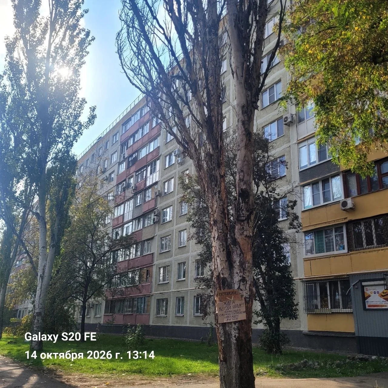 #сообщают
