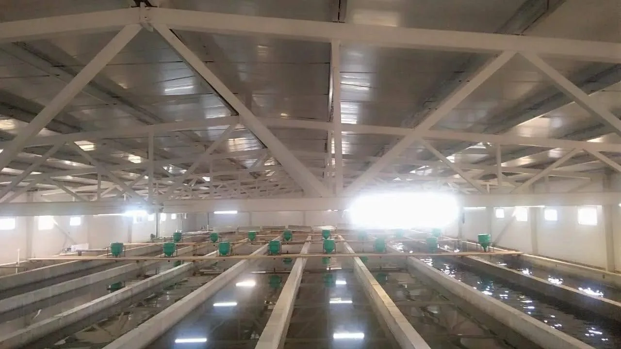 🐟 У поставщика форели для ресторанов и магазинов Подмосковья нашли опасную инфекцию
