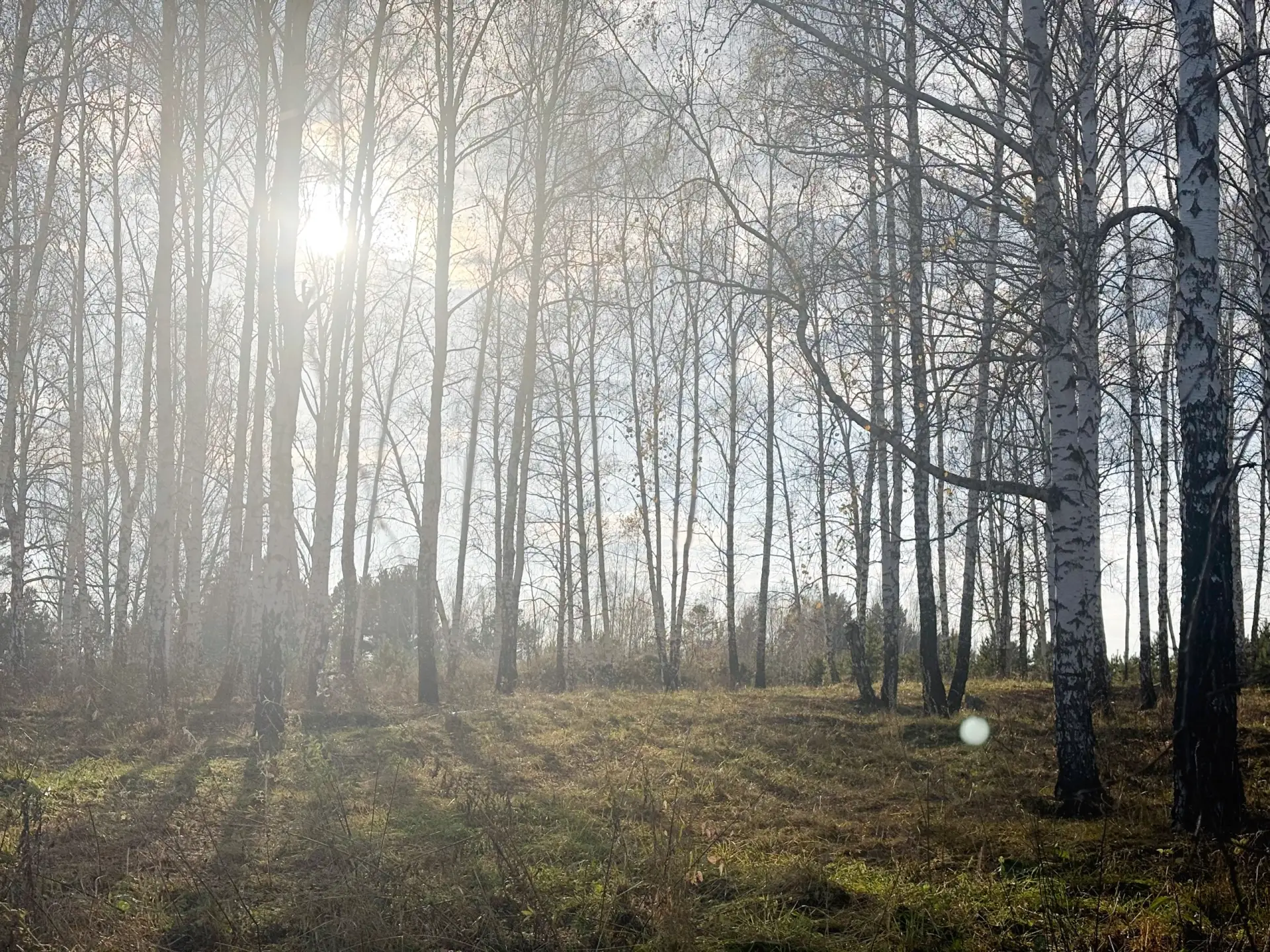 Доброе утро, жители Верхнеуфалейского городского округа!