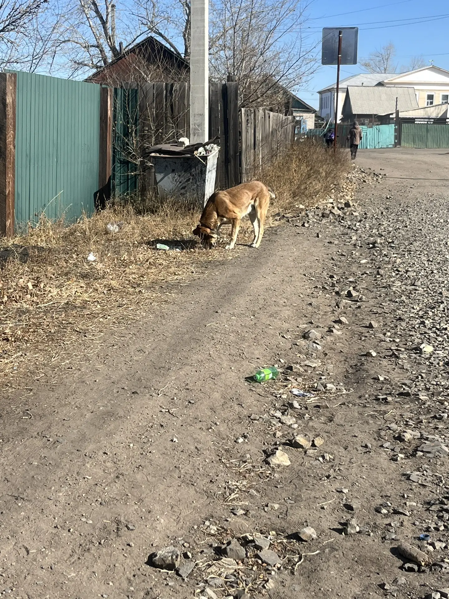 Анонимно . Алабай крупный бегает с ошейником по Свердловой 10 , тут дети маленькие ходя...