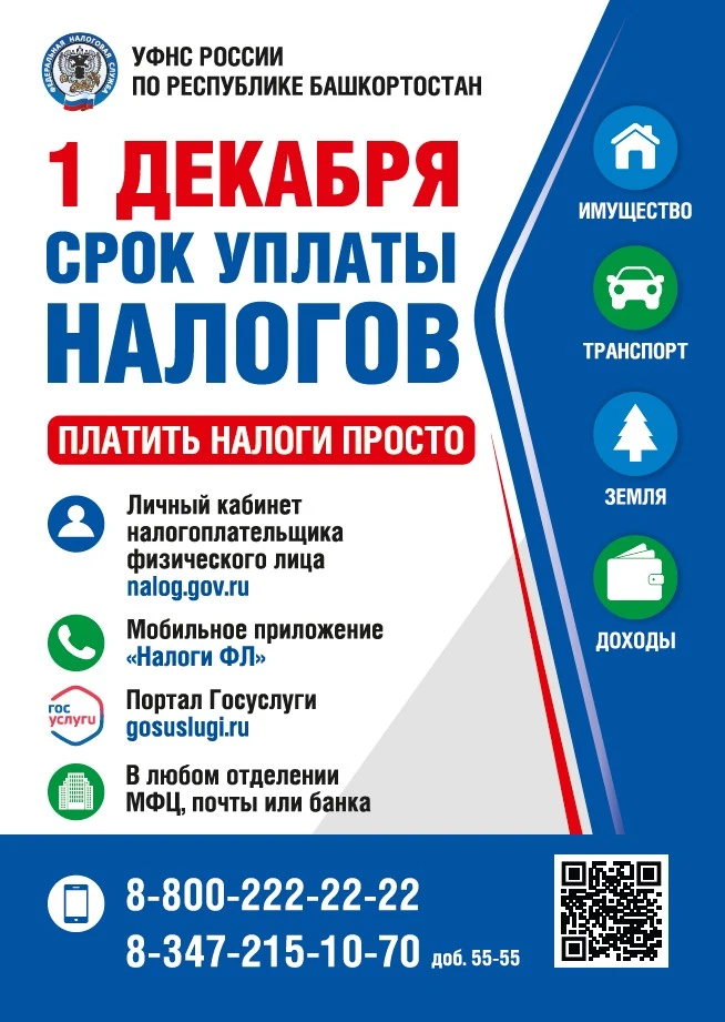 1 ДЕКАБРЯ — СРОК УПЛАТЫ НАЛОГОВ