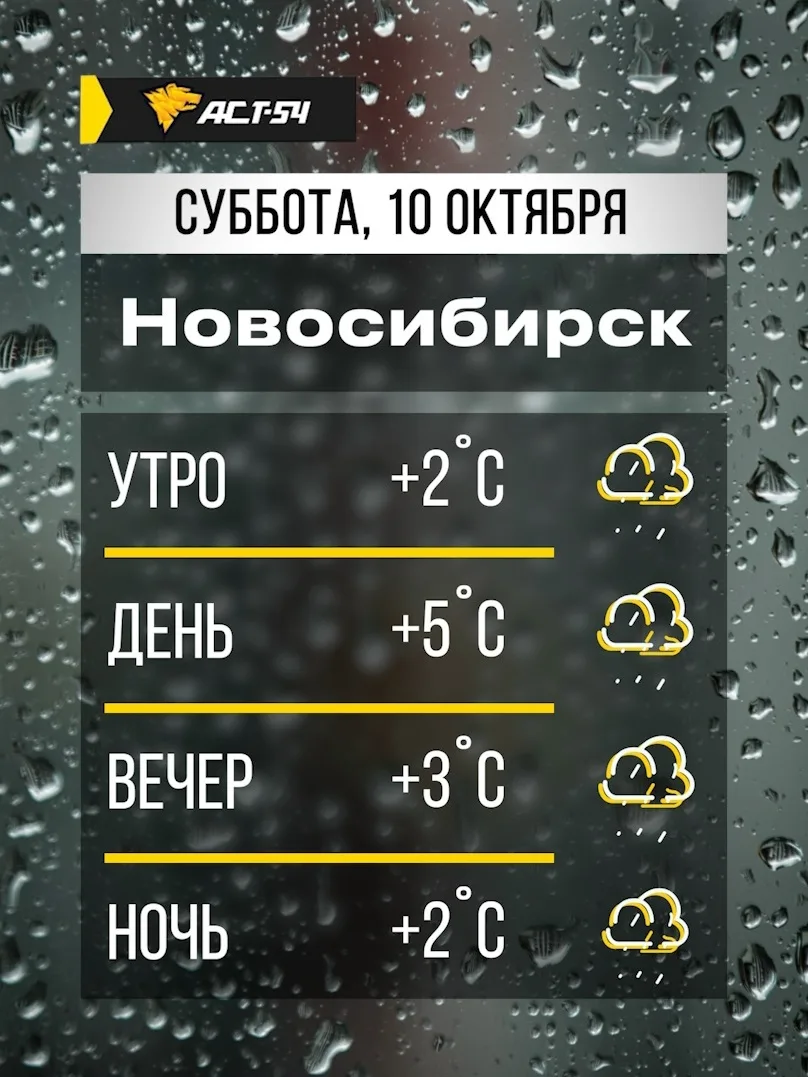 Сегодня в Новосибирске ожидается дождливая и прохладная погода. Максимальная температур...