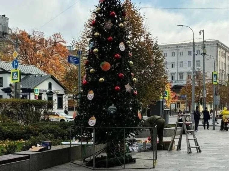 🎅 Новогодние ели начали устанавливать в Москве
