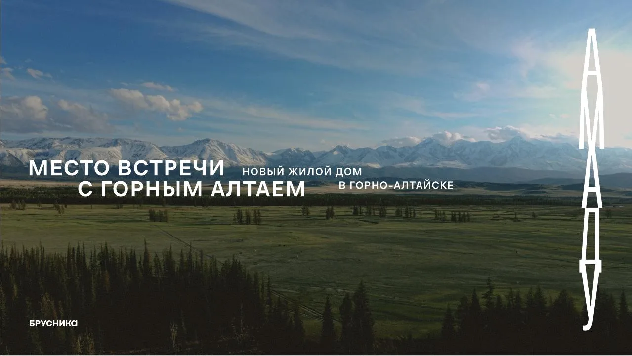 Брусника на Алтае