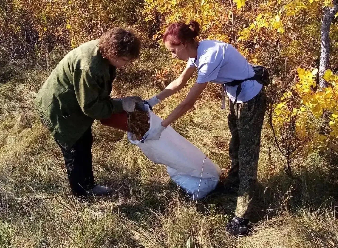 🍁Дуб, клён и ясень. В Оренбуржье заготавливают семена деревьев