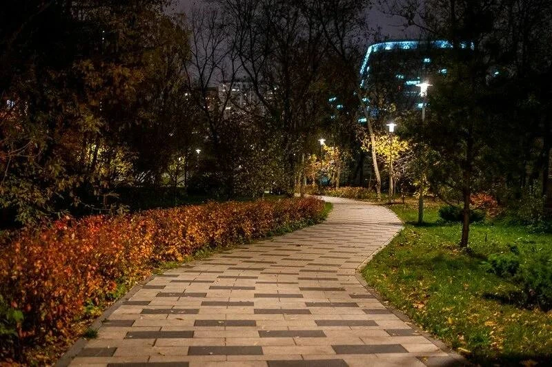 🍂 Любимый Академический парк