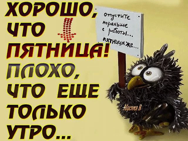 🦉 Прекрасного настроения ☕️❤️