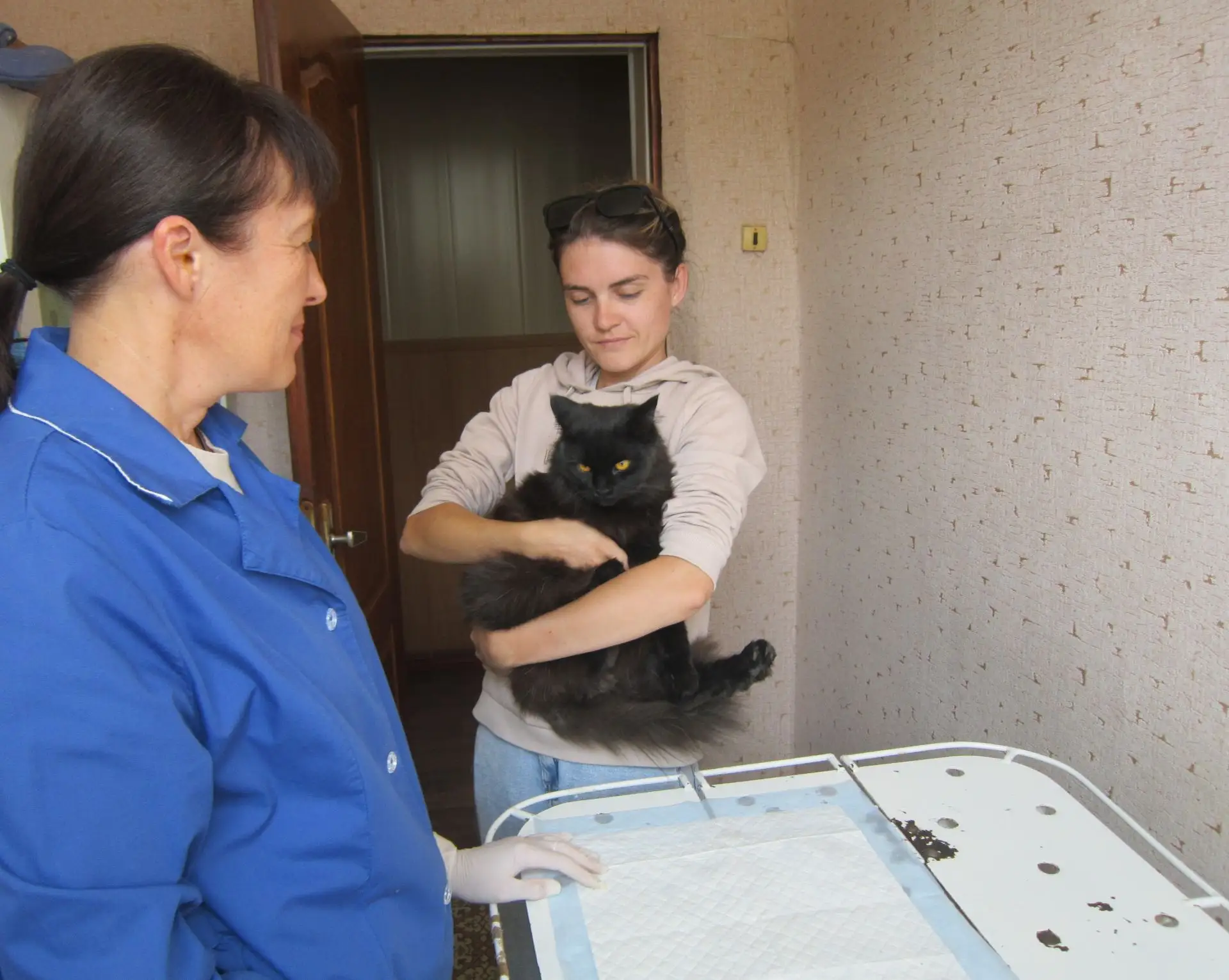 На прием в ветеринарную станцию ОГУ «Федоровская рай СББЖ» обратился владелец кота по к...