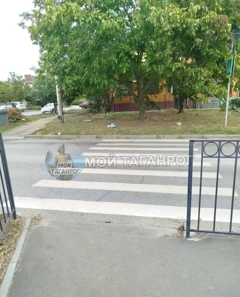 Ученики 23й школы на Бакинской перепрыгнут через забор, по зебре и на дерево)