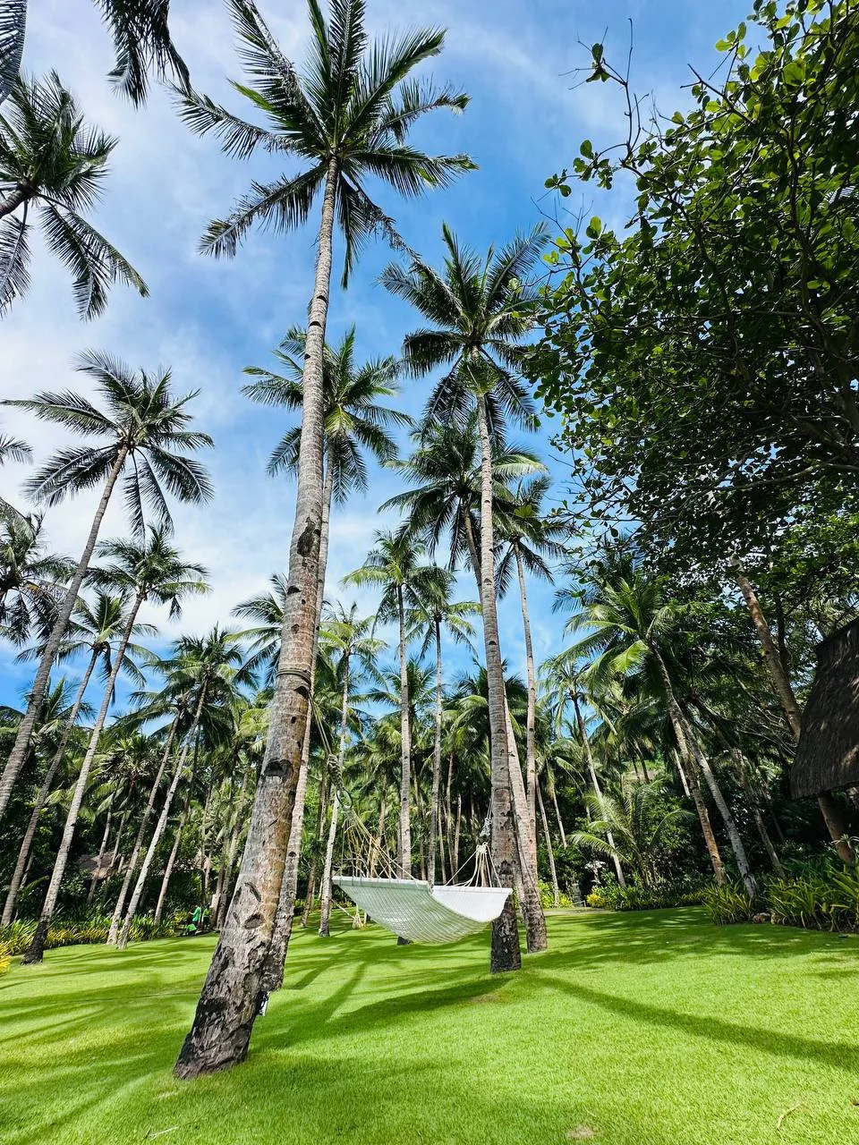 ✈️ Филиппины из Иркутска 🇵🇭
