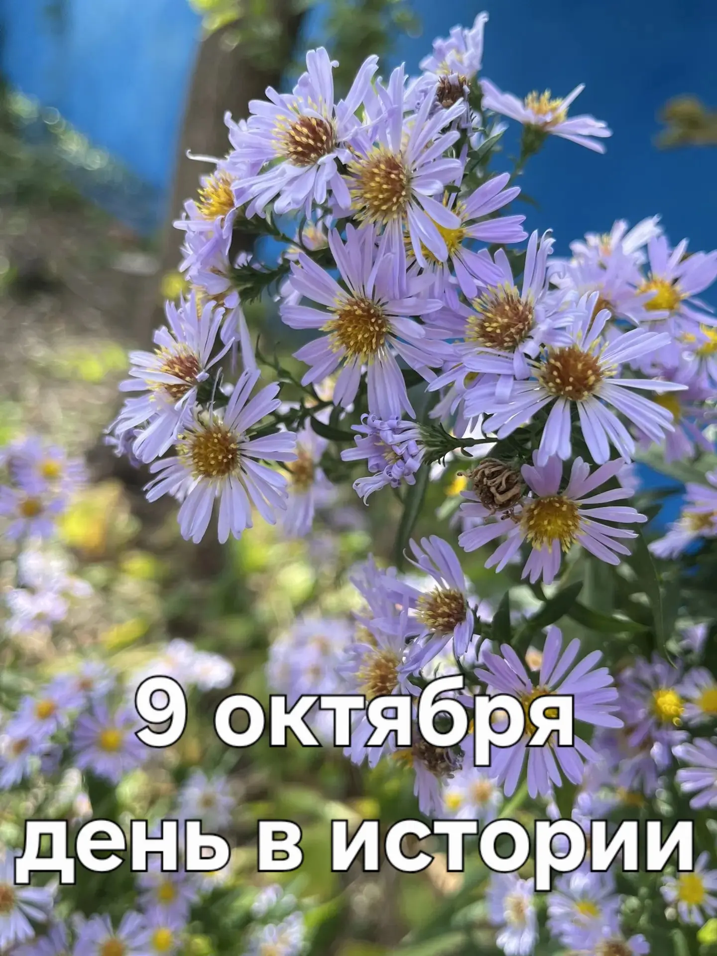 А знаете ли вы, что ❓