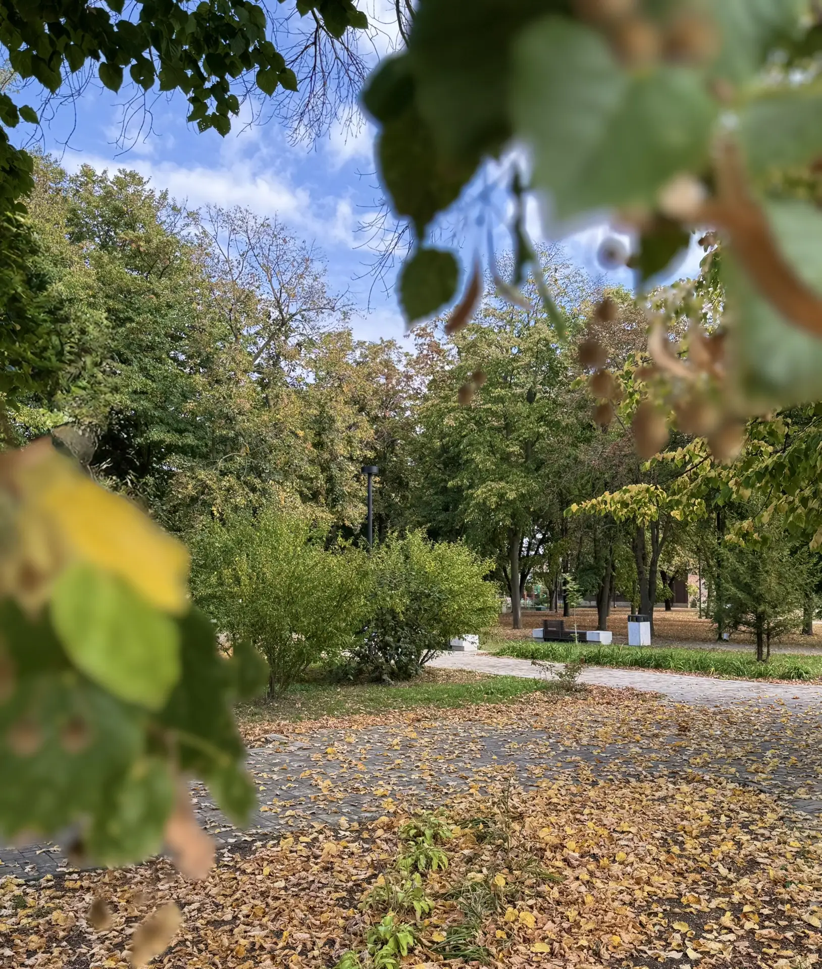 Доброе утро, друзья!🍁