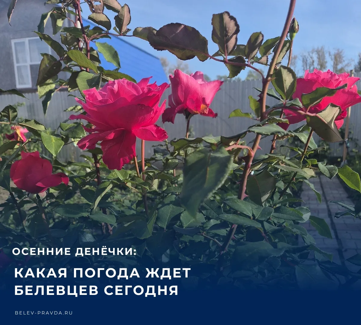 ☁️ Доброе субботнее утро!​