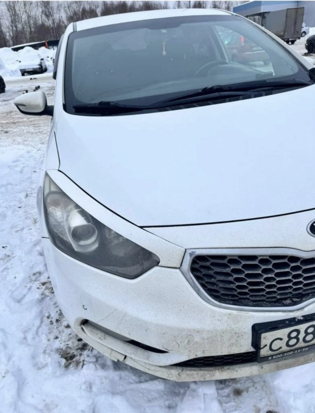 🔥 ЛОТ №3135