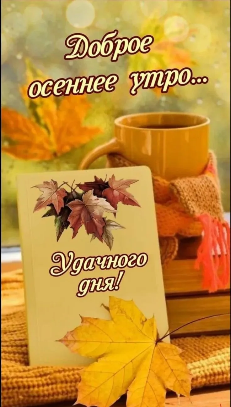 🖼 Доброе утро 💖💖💖 Всем отличного дня🍁🎊😊