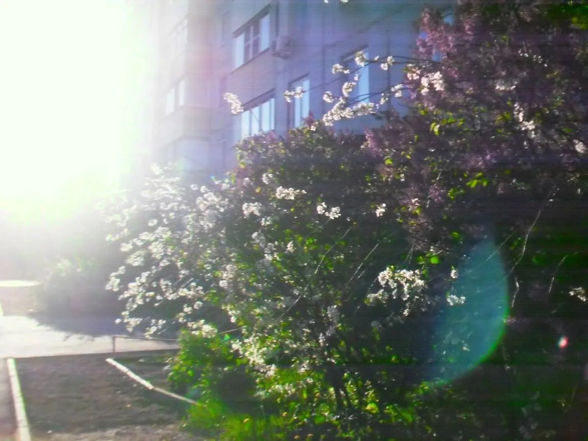 🌾 Доброе, осеннее утро, москвичи!