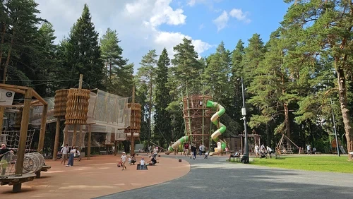Семейный отдых среди леса — всего в часе езды от Москвы 👨‍👩‍👧‍👦