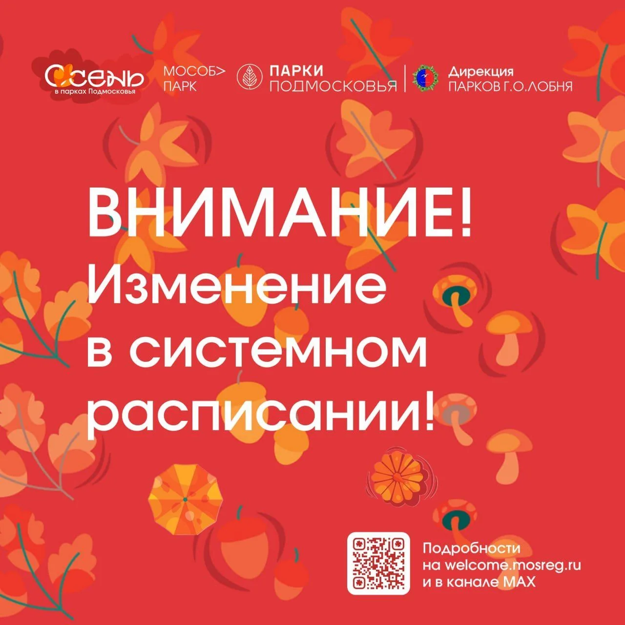 🏓 Уважаемые гости парка!