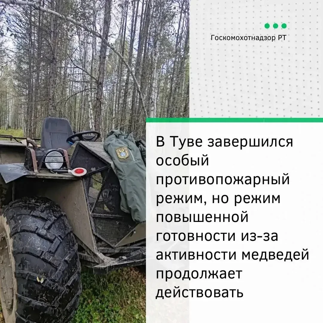В Туве отменили противопожарный режим, но запретили ходить в лес из-за медведей