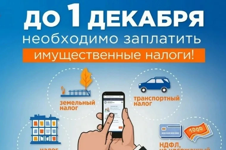Судебные приставы Приангарья напоминают о необходимости уплаты налогов до 1 декабря