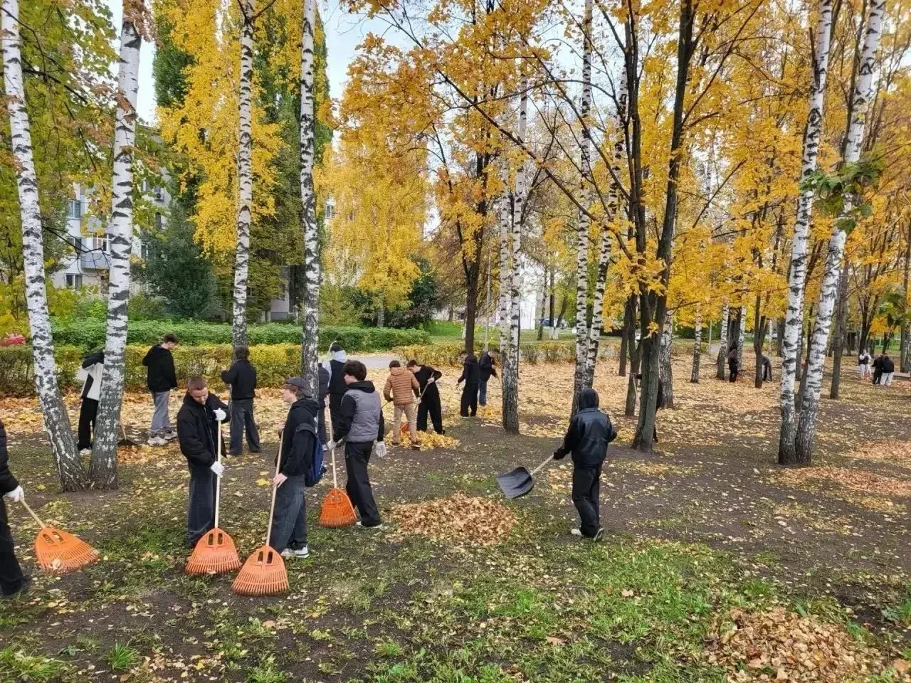 📍 Чистые локации сегодня: город в заботливых руках 🧤