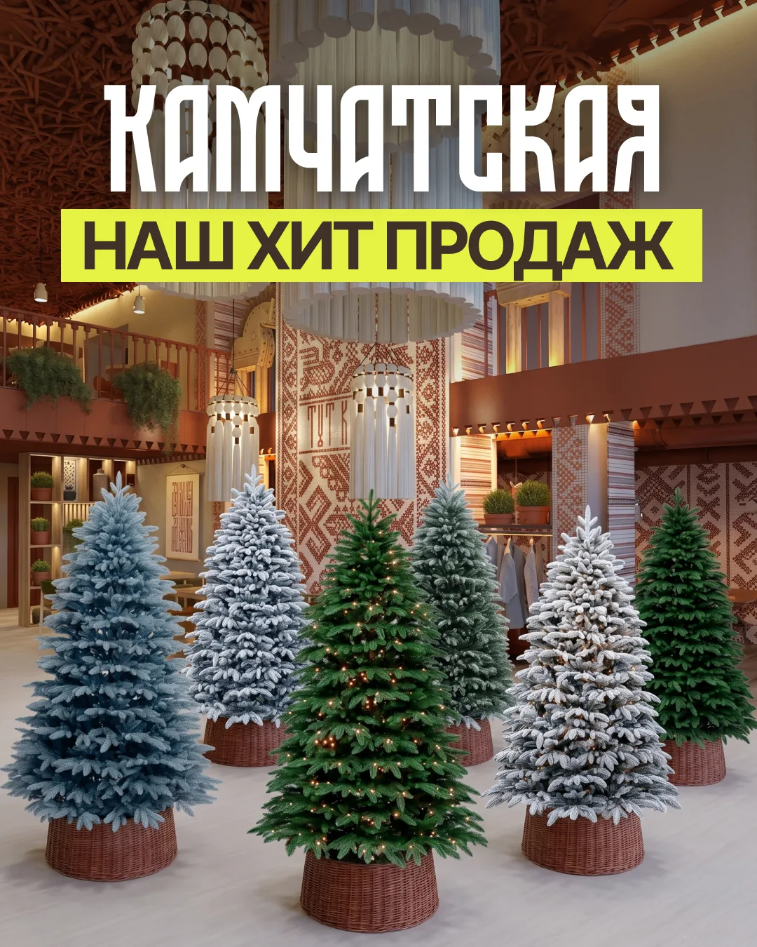 Ель «Камчатская» — наш хит продаж 🎄