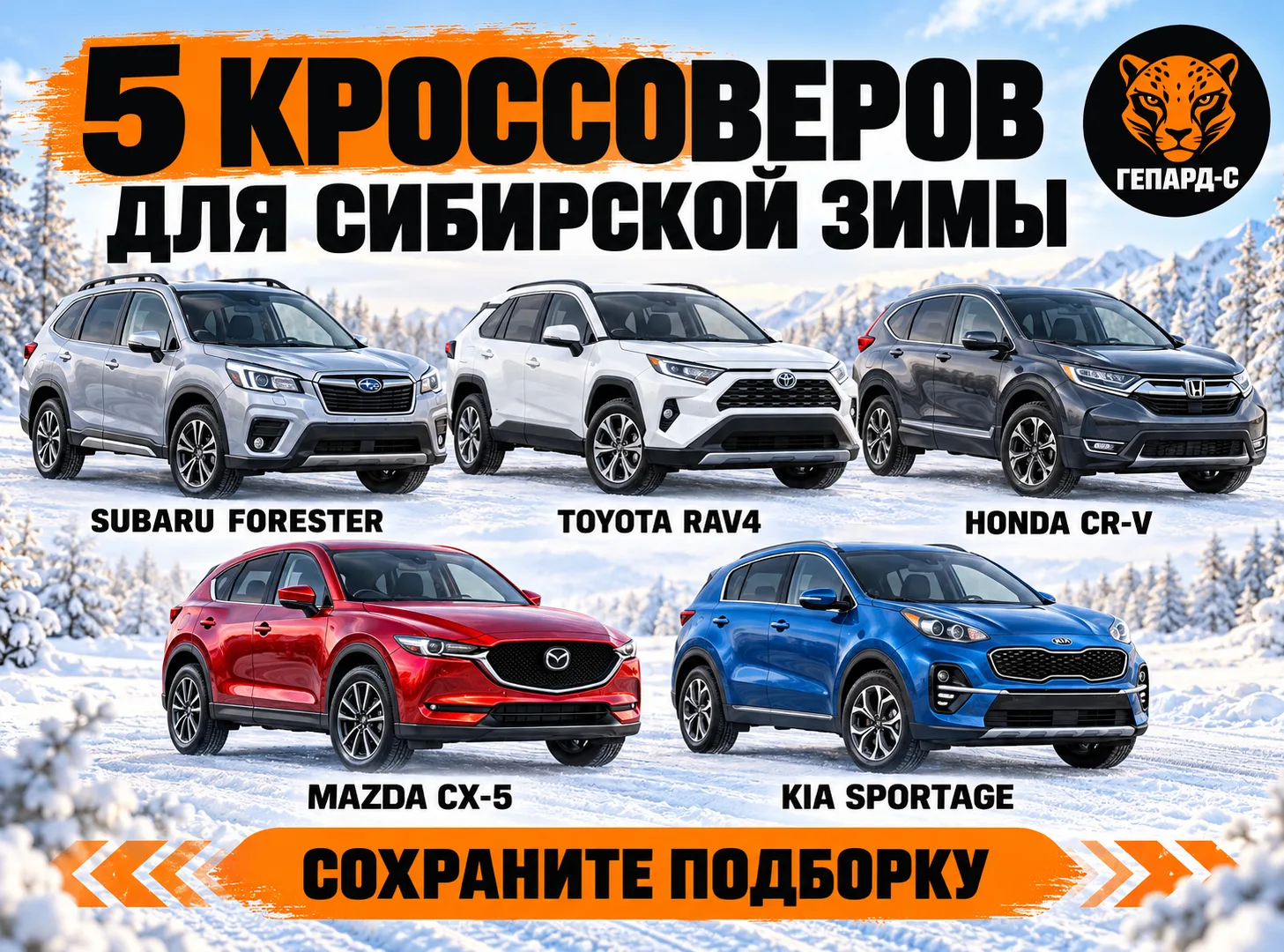 ❄️ 5 кроссоверов, к которым стоит присмотреться перед сибирской зимой