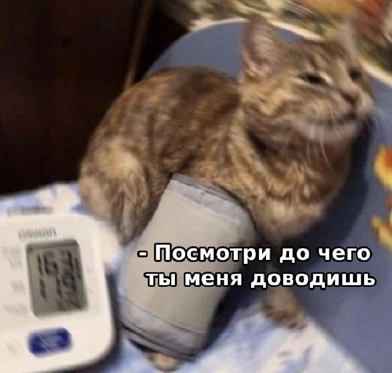 На случай важных переговоров 😁