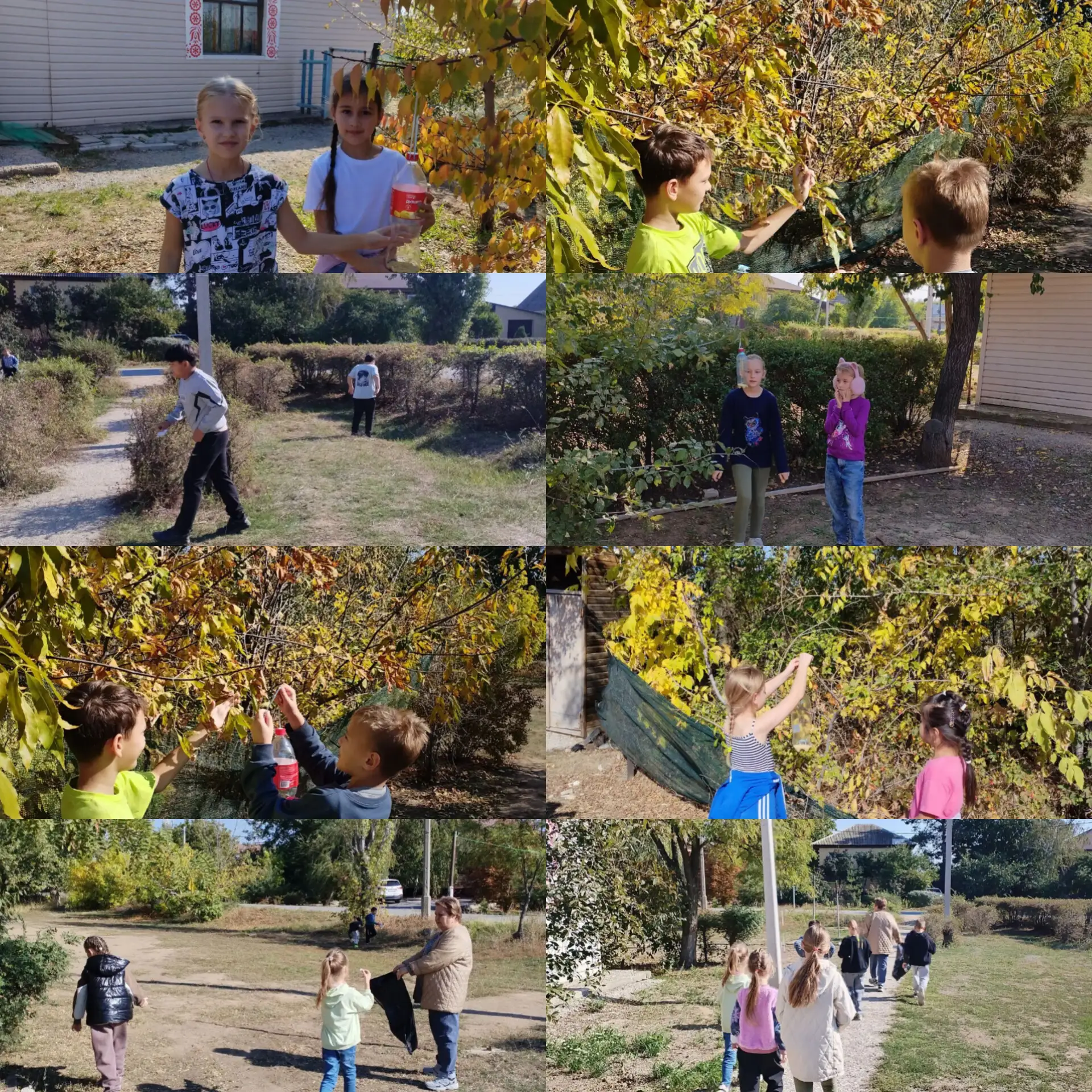 🍂🍁 Осенняя неделя добра: итоги ! 🍁🍂