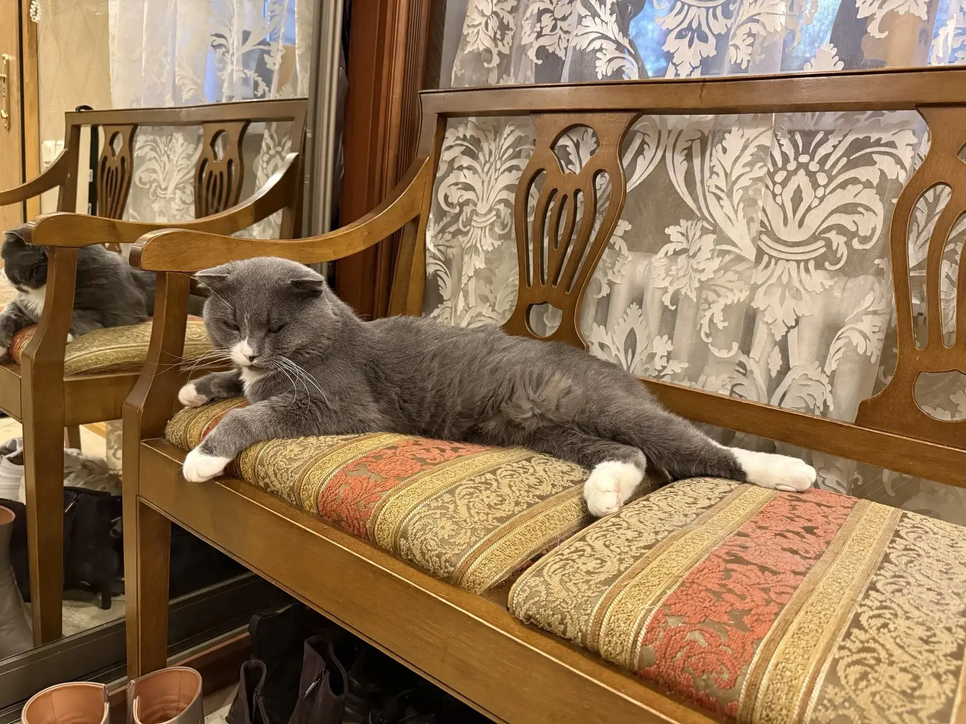 Фото-привет из дома от Були❤️