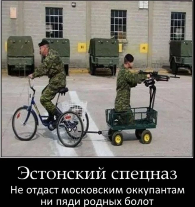 В Эстонии укрепят оборону мультфильмами и видеоиграми