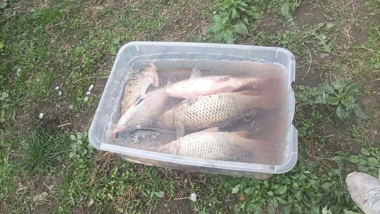 Водоем Демидова