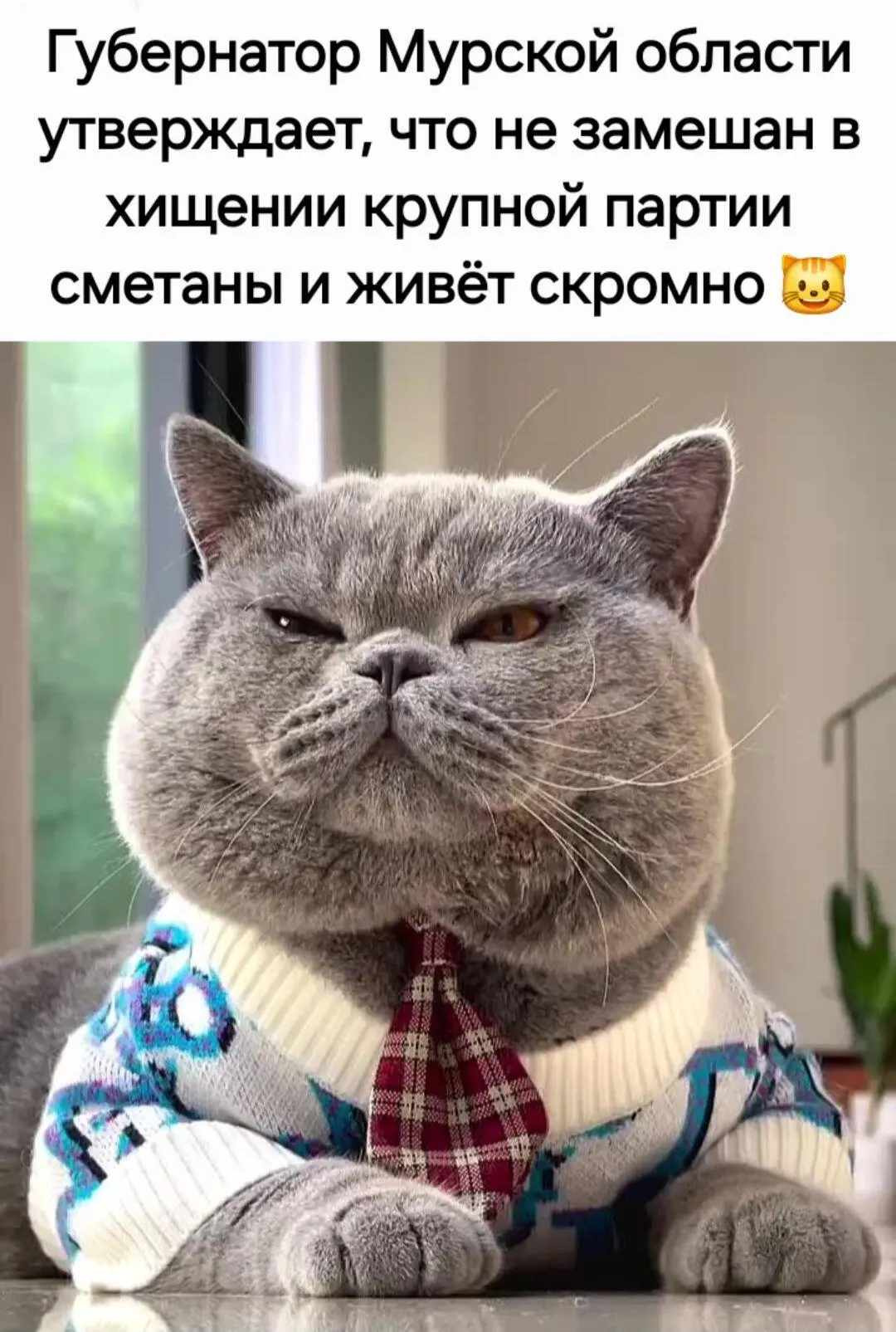 Добрый Мурзик 😻