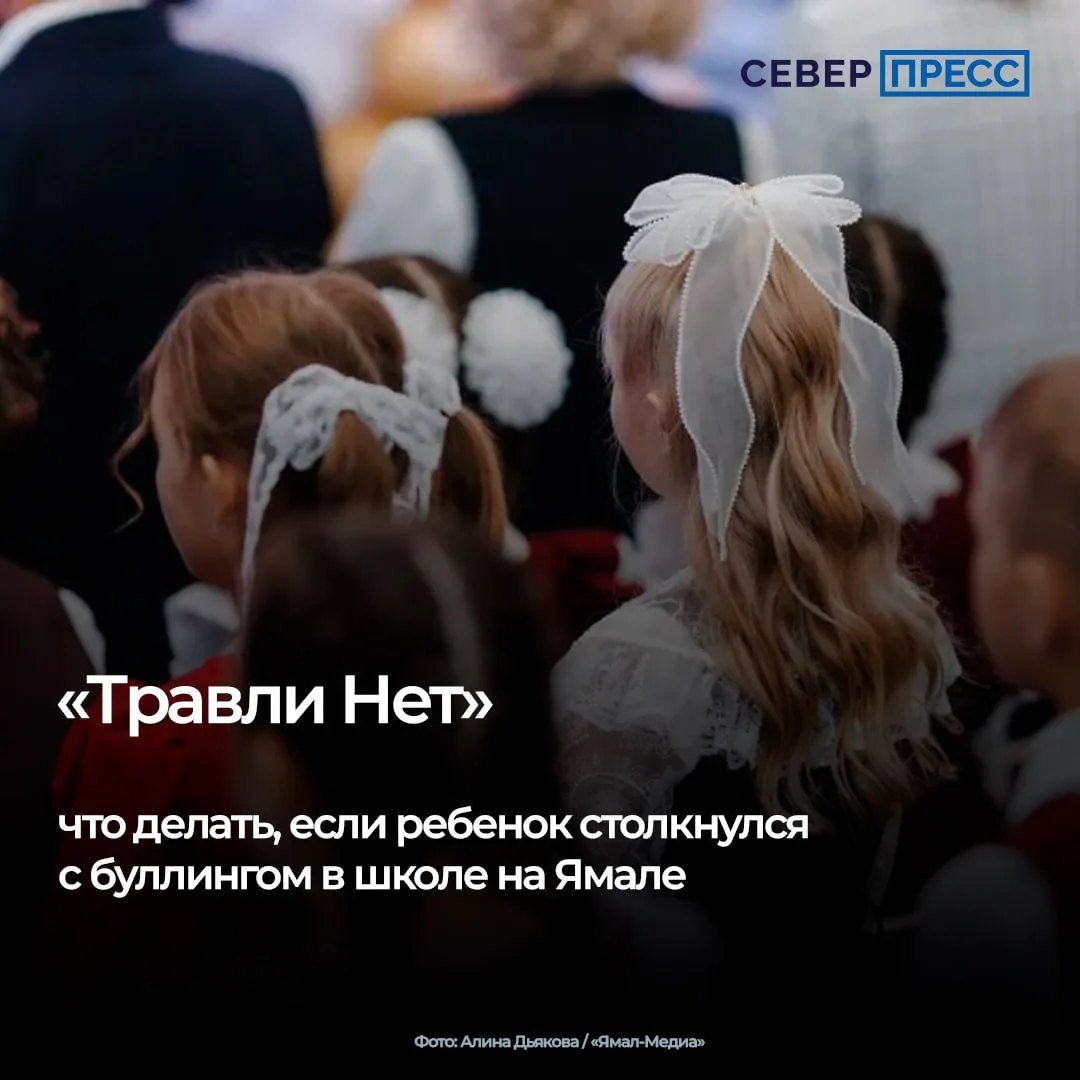 На Ямале работает единый сервис для сообщений о случаях буллинга в школе — система обра...