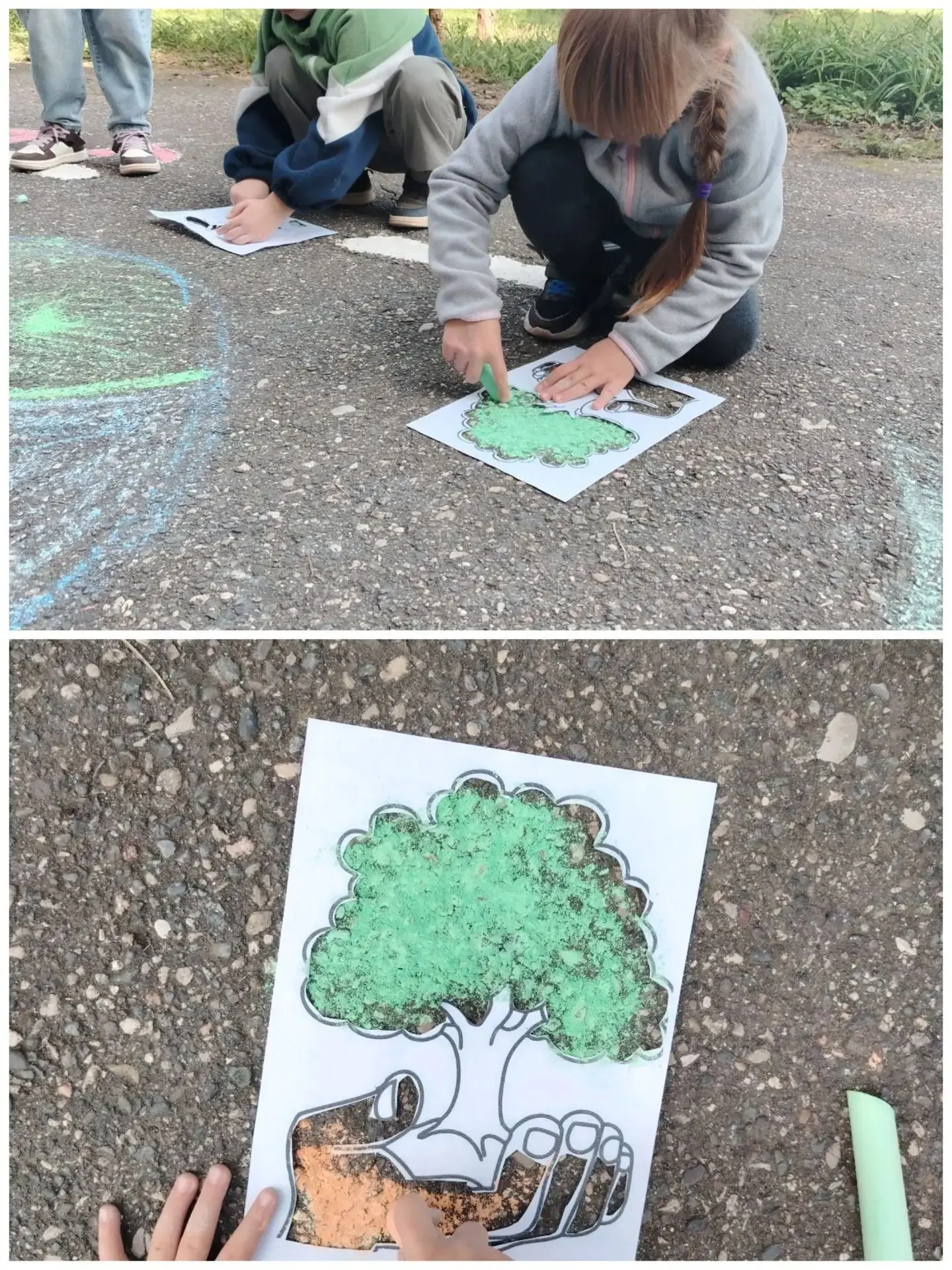 🌿 «Эколята — дошколята» в деле!