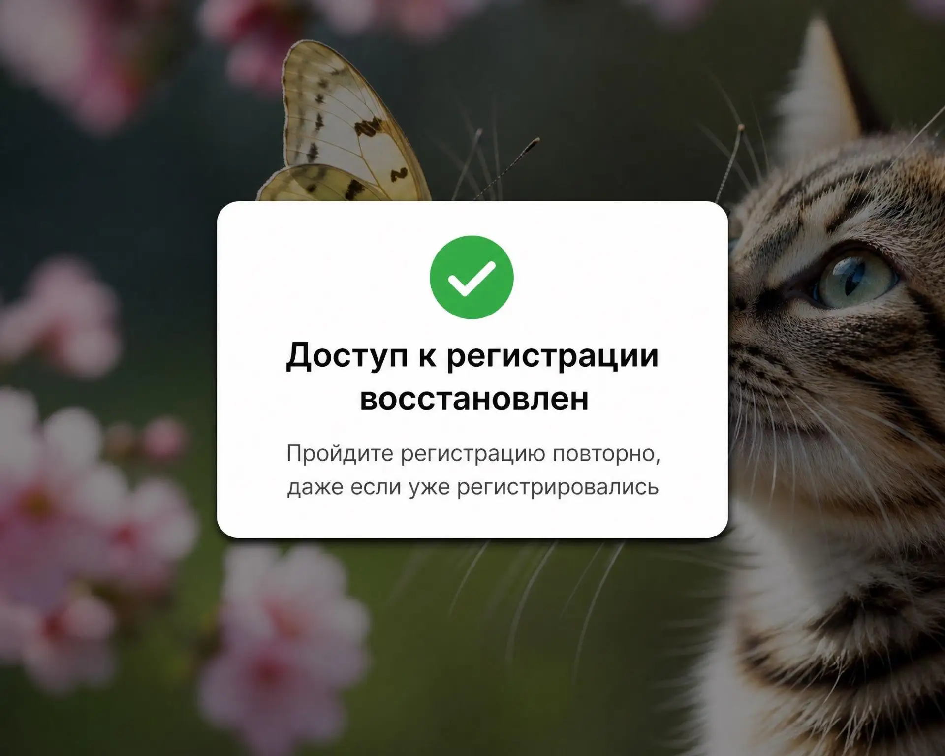 ‼️ВАЖНО ПРО МАРАФОН! Регистрация РАБОТАЕТ