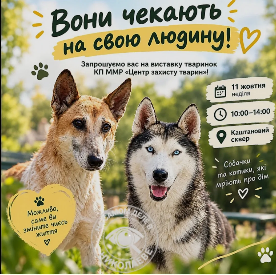 Ещё немного доброты❤️ Николаев найди себе друга — выставка животных🐾