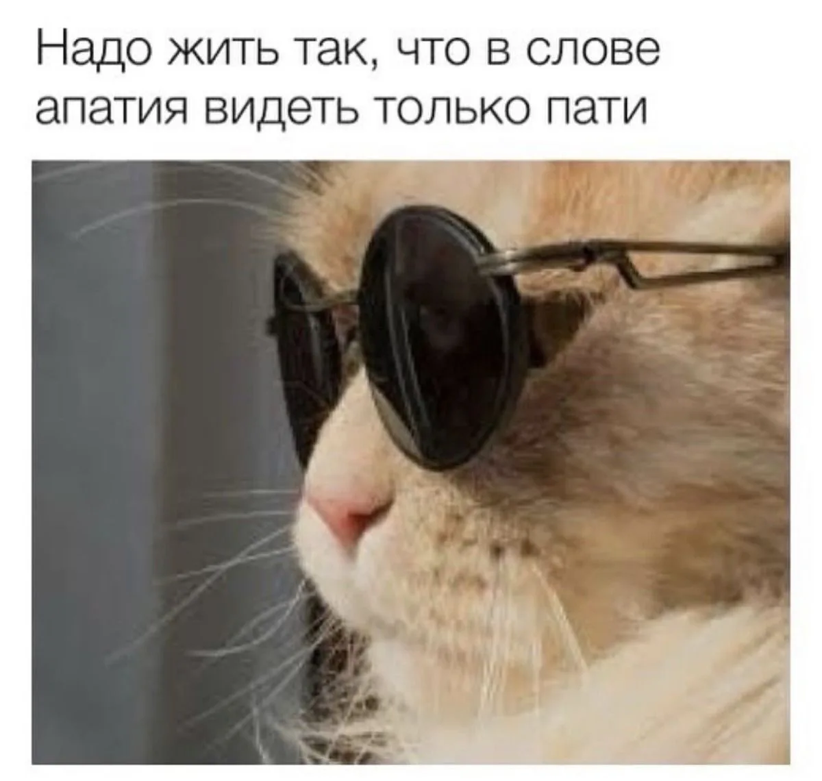 #мыслиавтора