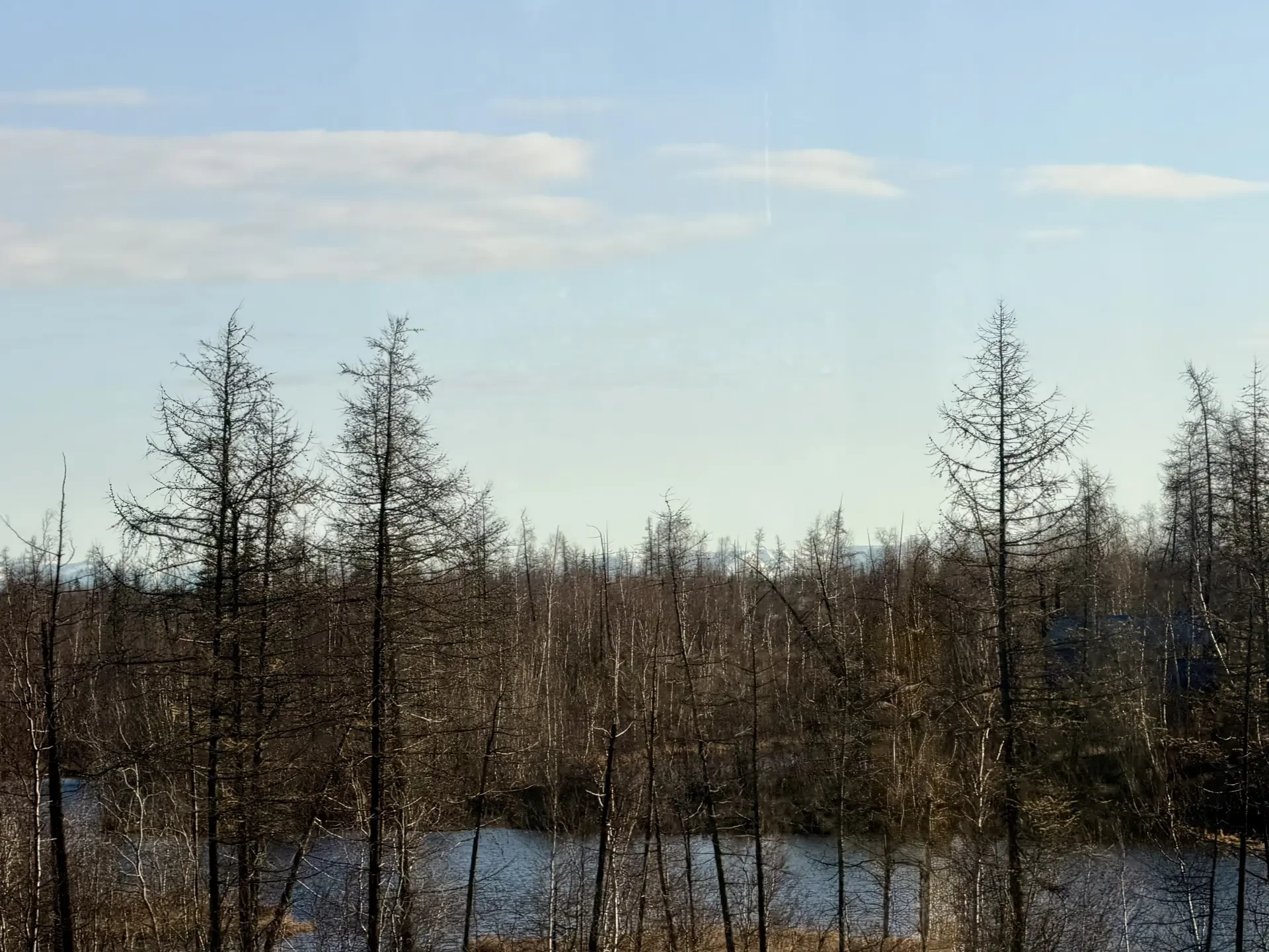 🌨 Доброе утро, Норильск!
