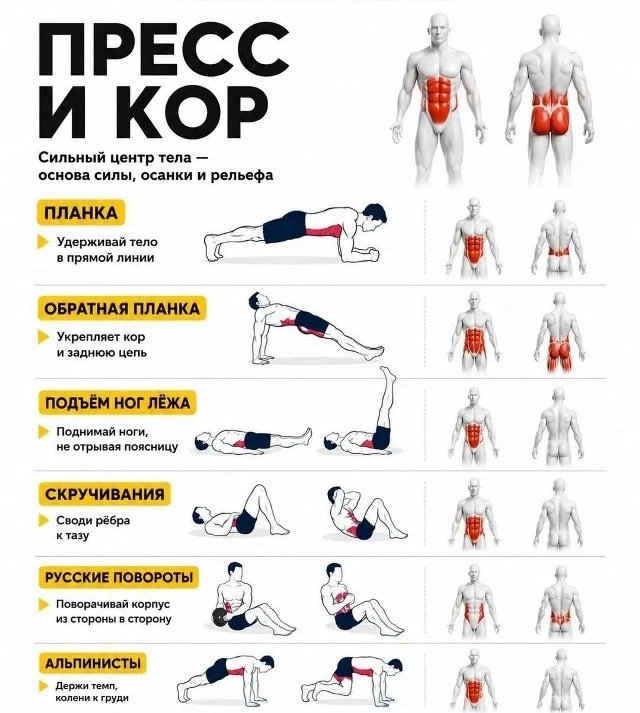 Тренируем мышцы кора.