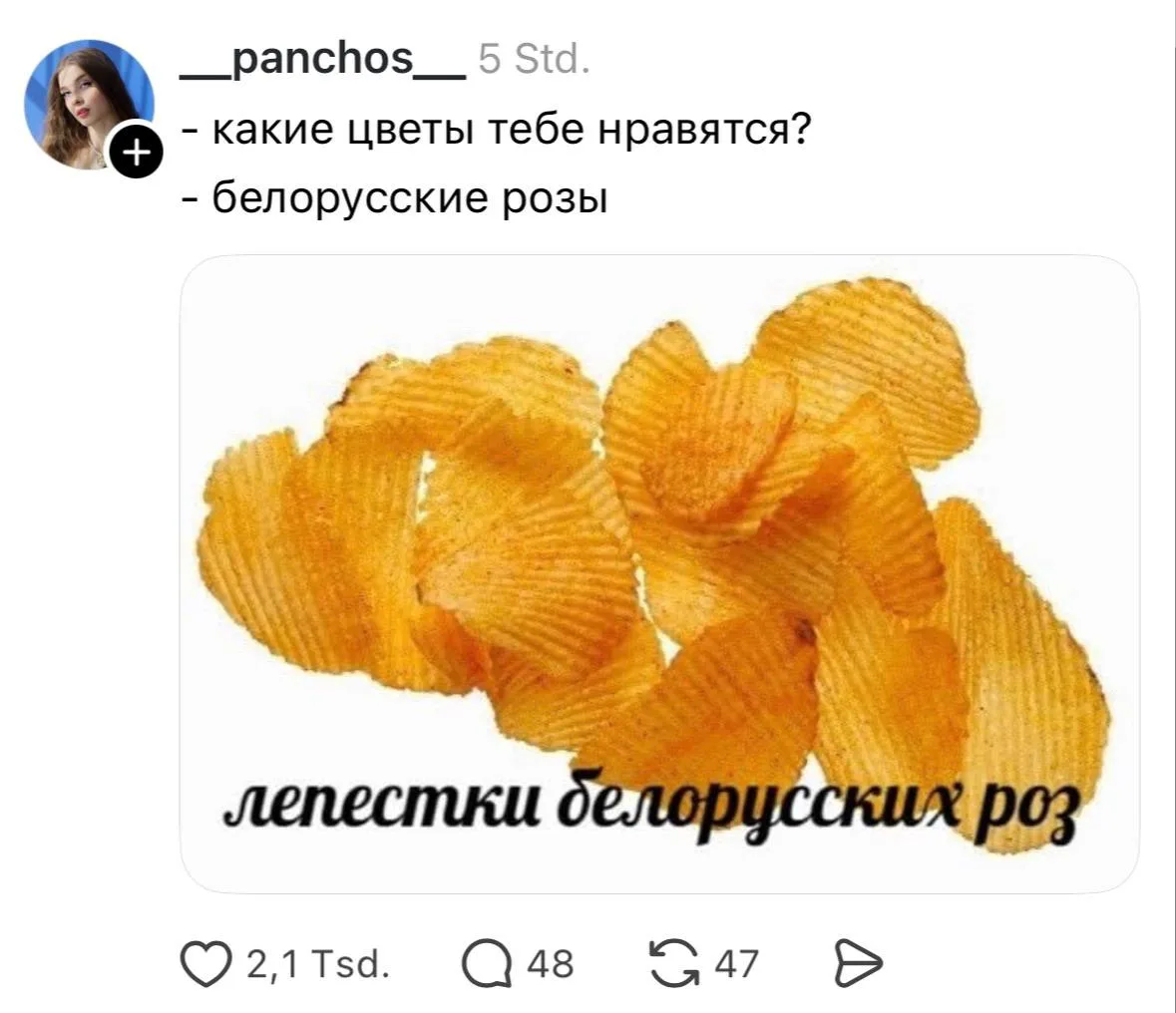 Розы, которые нравятся абсолютно всем 🤣