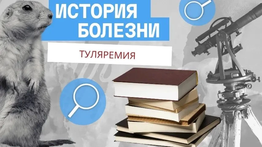 История болезни. Туляремия🐇