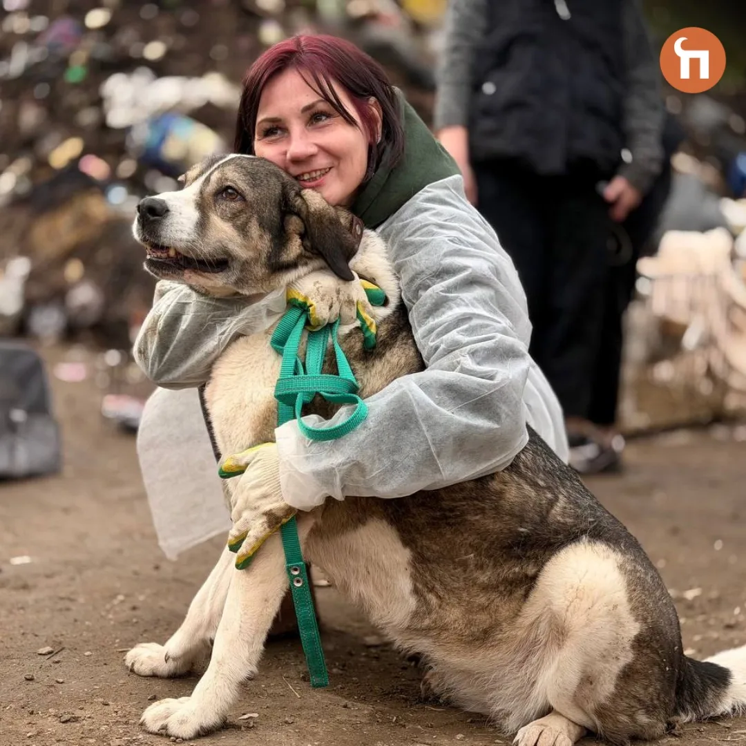 🧡Как один пост в соцсетях спас сотни жизней