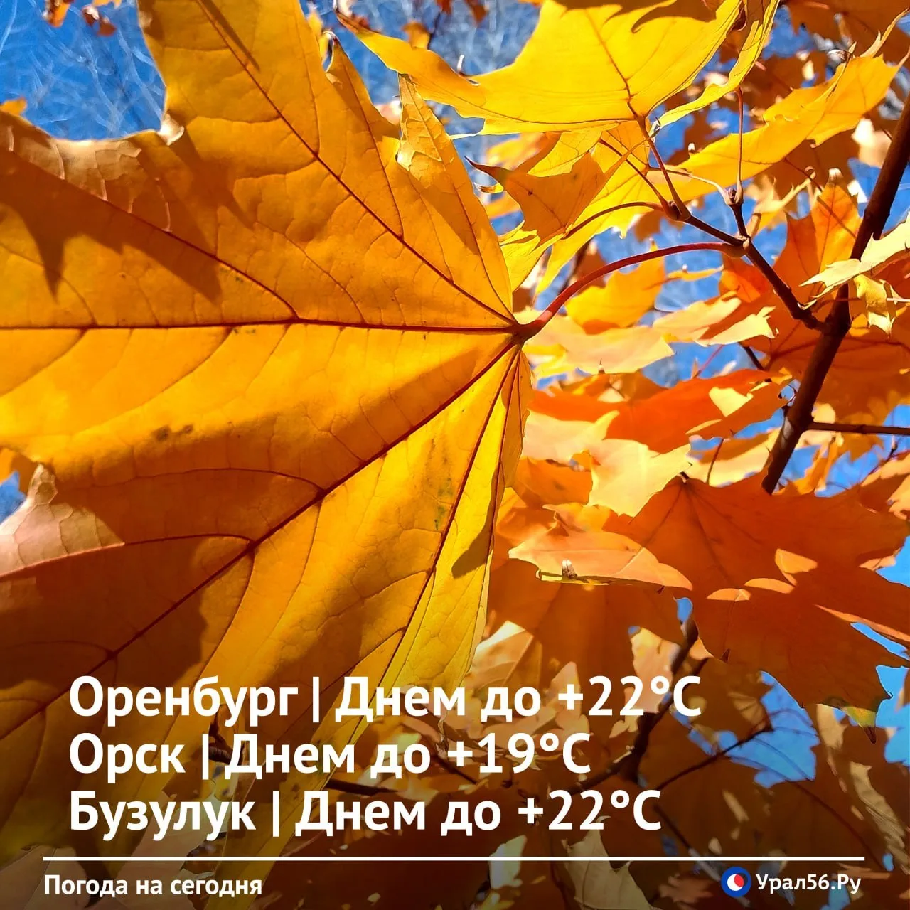 Доброе утро ☀️