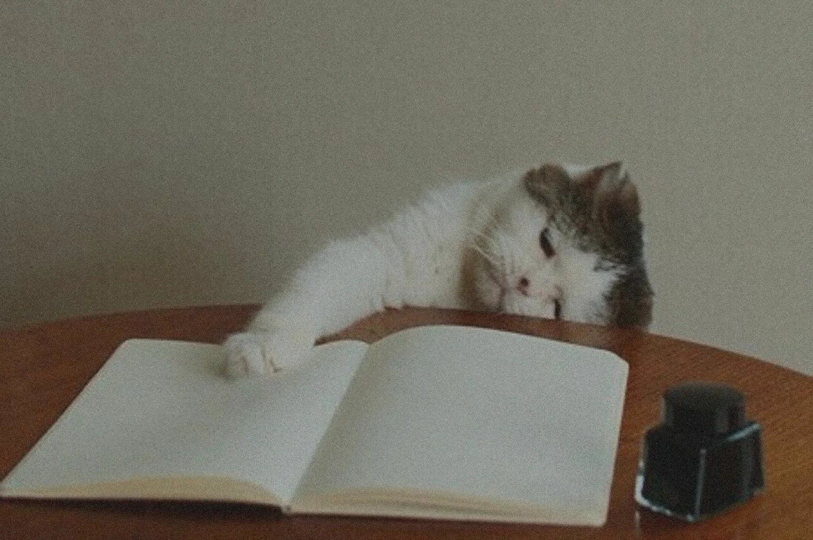 📚 Как справиться, если получила оценку хуже, чем ожидала