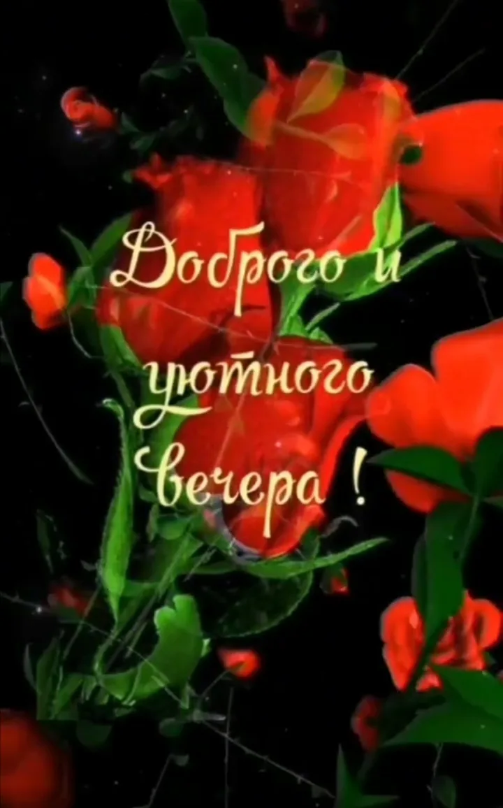 Добрый вечер друзья 🤗🤗🤗