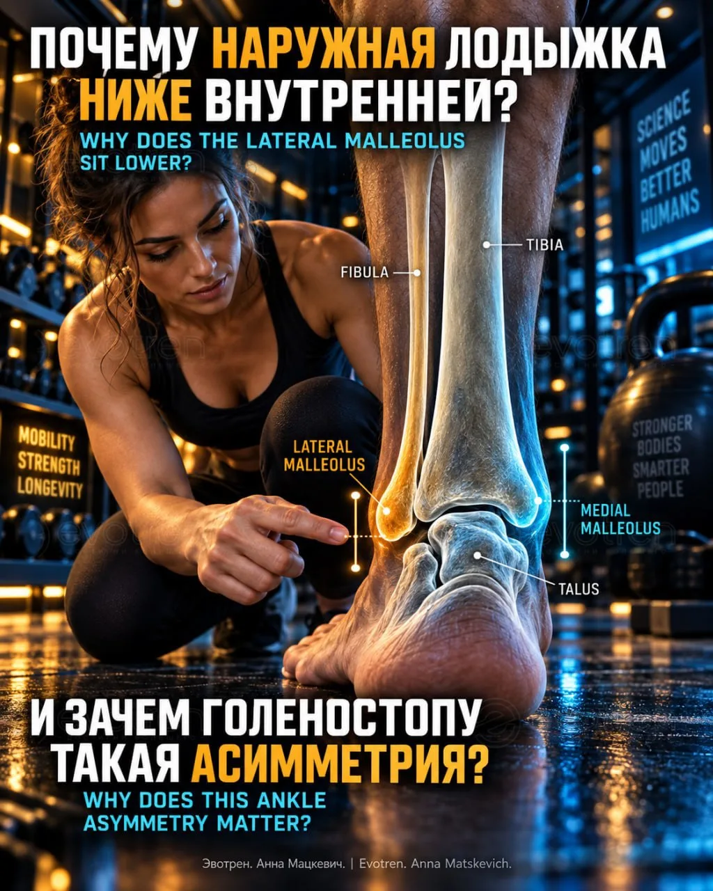 🔥 Почему наружная лодыжка ниже внутренней - и зачем голеностопу такая асимметрия