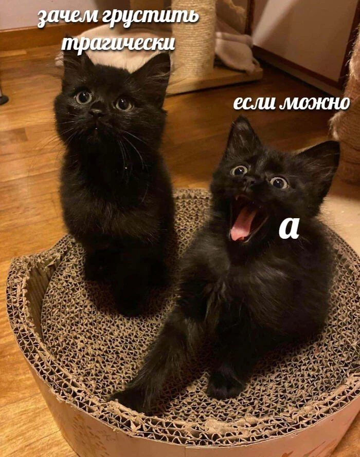 Ставь лайк! ❤️