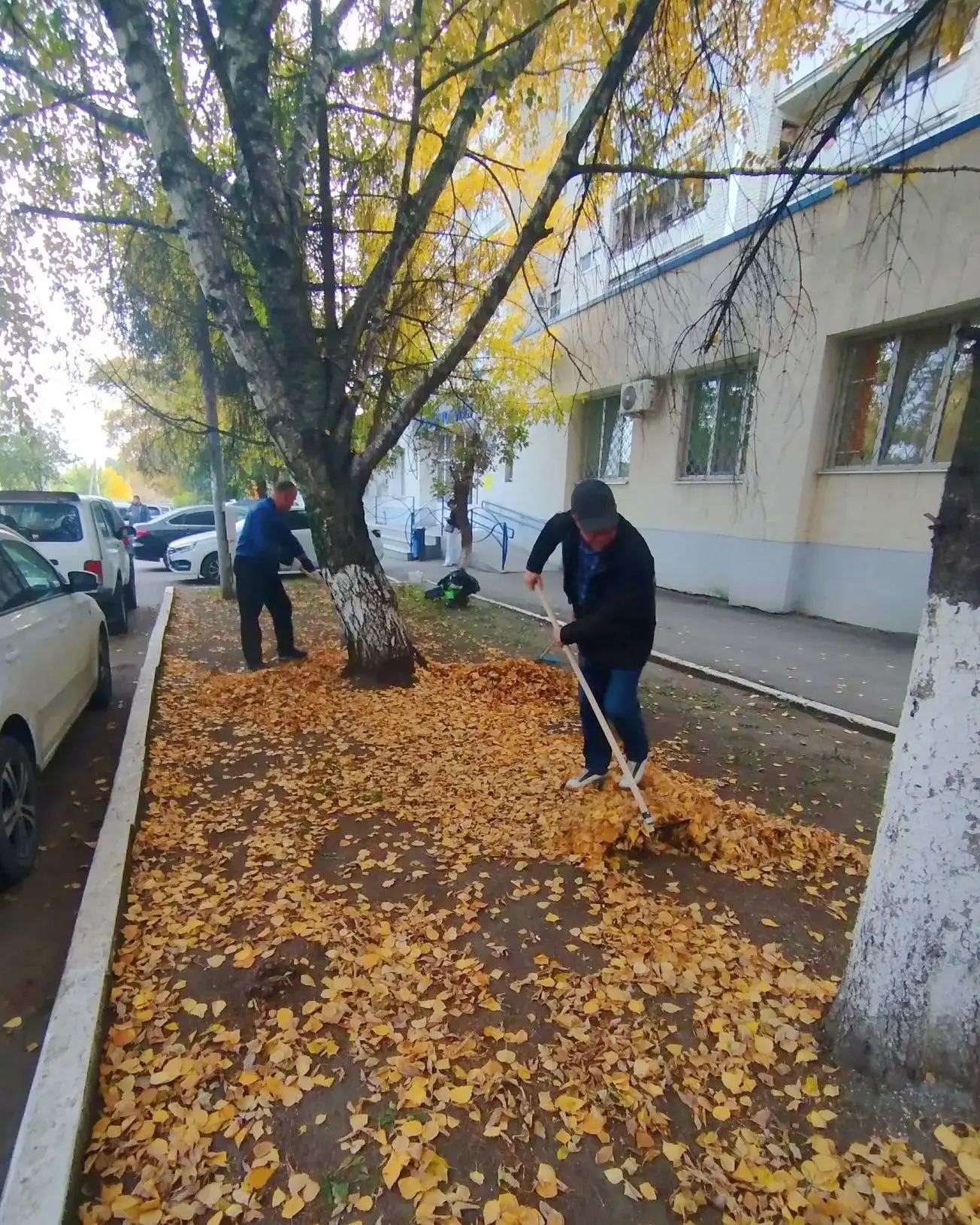 Продолжаем сезонную уборку прилегающих территорий!